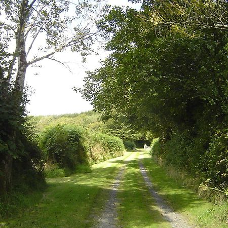 Holdstrong Farmhouse Lydford Exterior photo