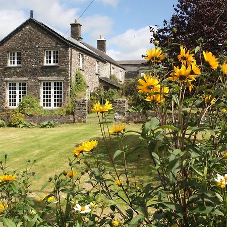 Holdstrong Farmhouse Lydford Exterior photo